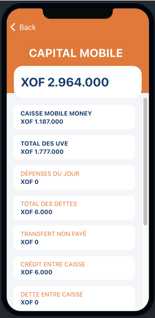 Mobile interface 1